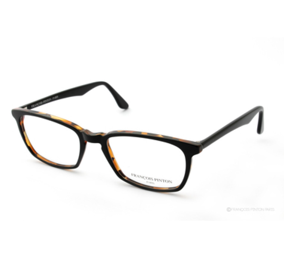 Brillen FRANCOIS PINTON PASSEPORT 41 - S196 52/19