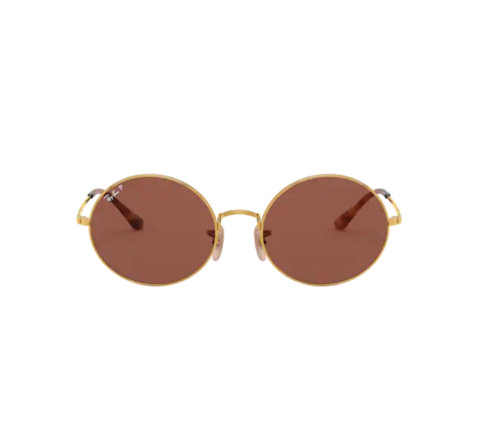 Zonnebrillen RAY-BAN RB1970 9147AF 54/19