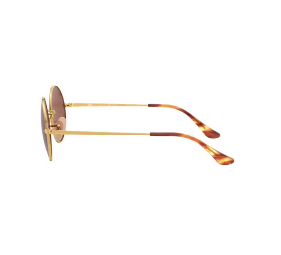 Zonnebrillen RAY-BAN RB1970 9147AF 54/19