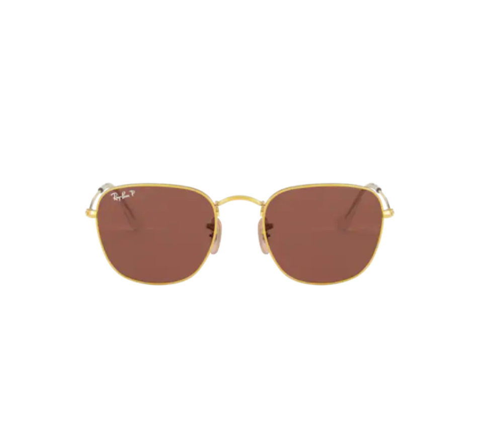 Zonnebrillen RAY-BAN RB3857 9196AF 51/20