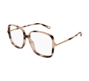 Havana medium