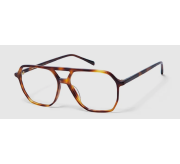 Havana medium