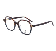 Bruin