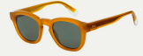 Bruin