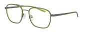 Groen