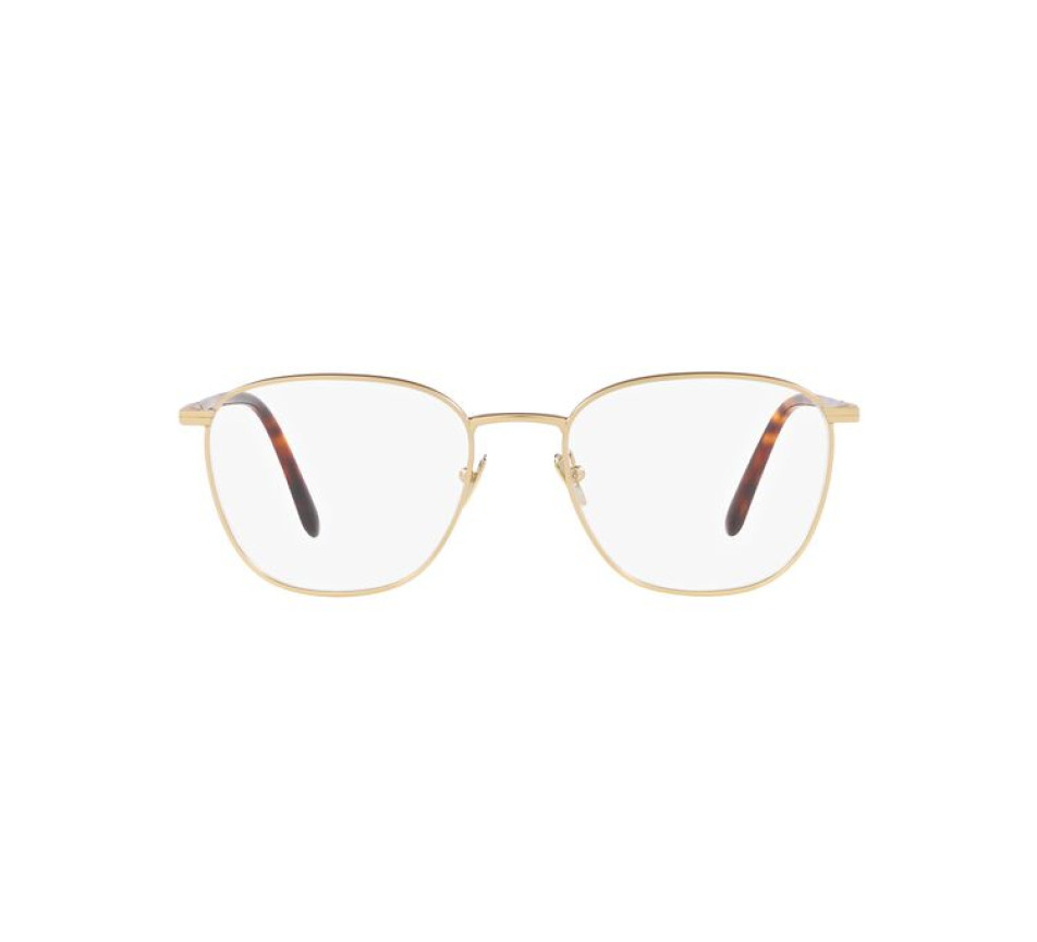 Brillen GIORGIO ARMANI AR5132 3002 52/19