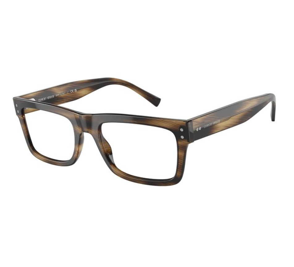 Brillen GIORGIO ARMANI AR7232 5409 53/20