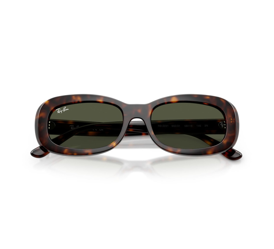 Sonnenbrillen RAY-BAN RB2221 902/31 53/18