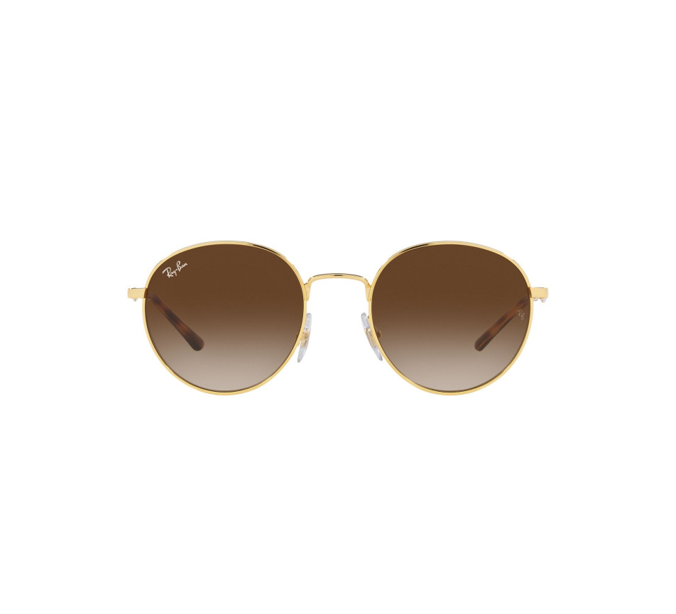 Sonnenbrillen RAY-BAN RB3681 001/13 50/20
