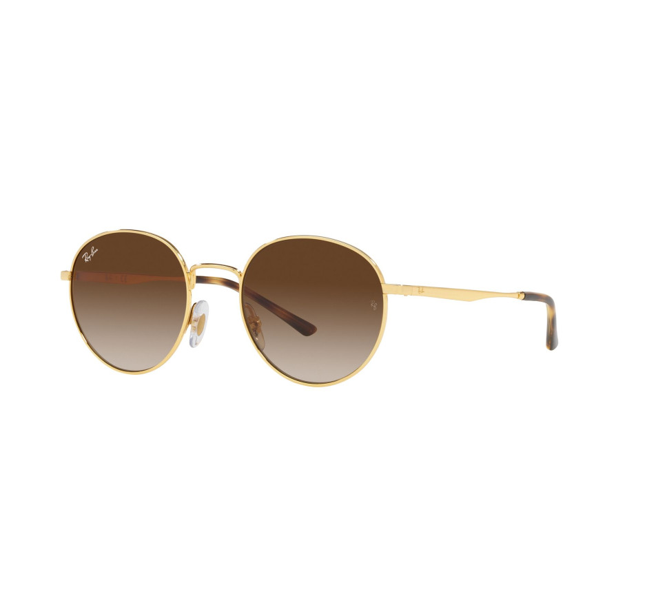 Sonnenbrillen RAY-BAN RB3681 001/13 50/20