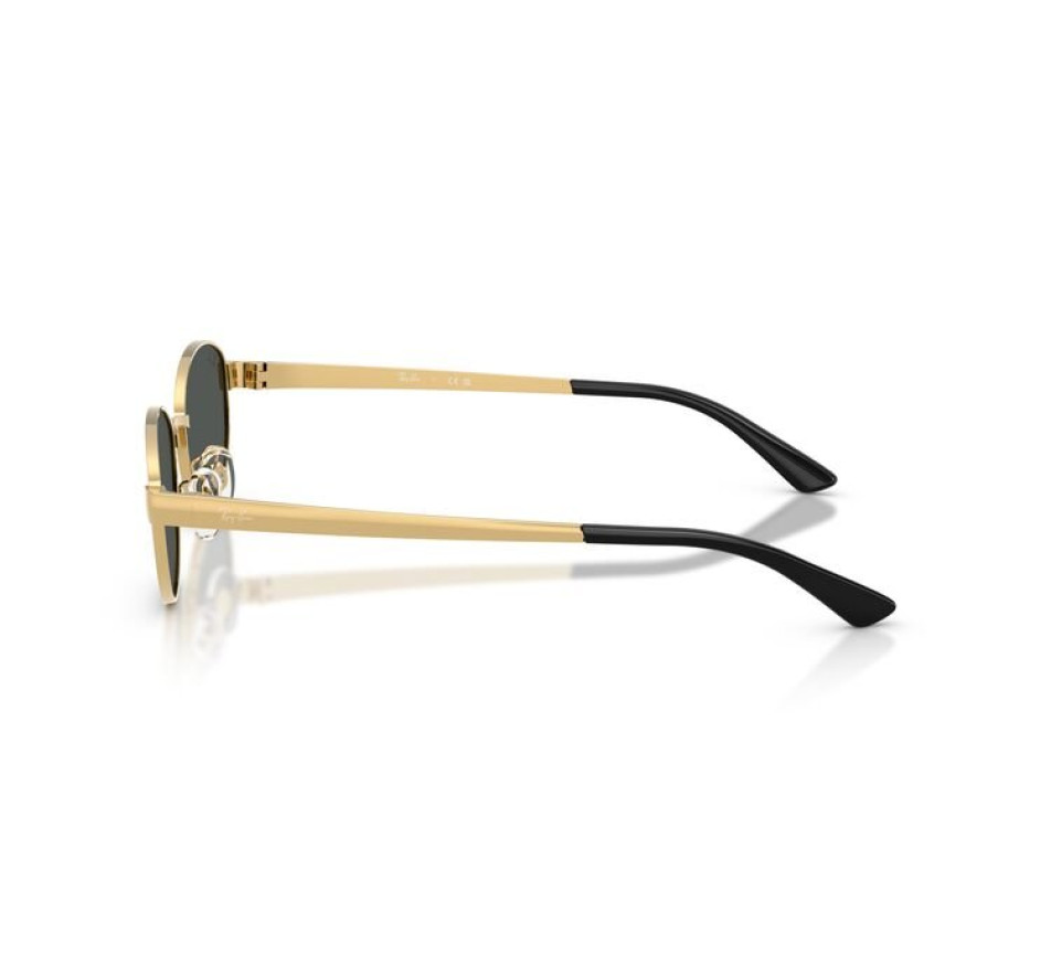 Sonnenbrillen RAY-BAN RB3774D 001/87 55/19