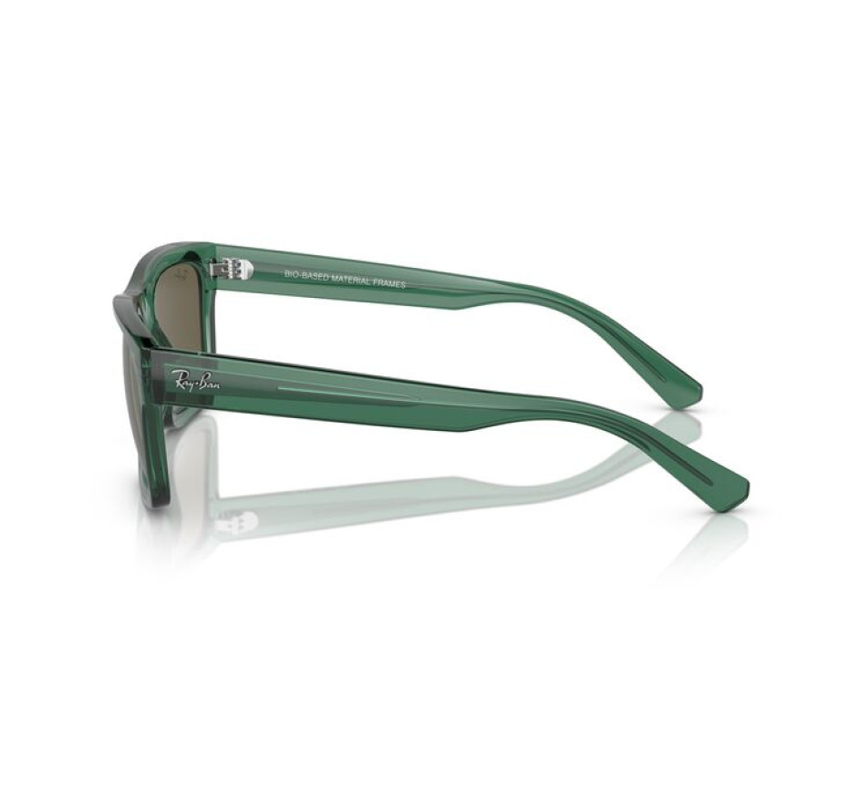 Sonnenbrillen RAY-BAN RB4396 6681/3 54/20