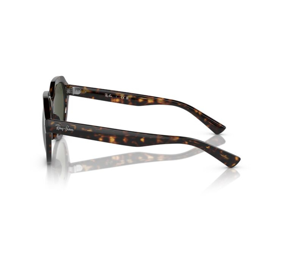 Sonnenbrillen RAY-BAN RB4399 902/31 53/21