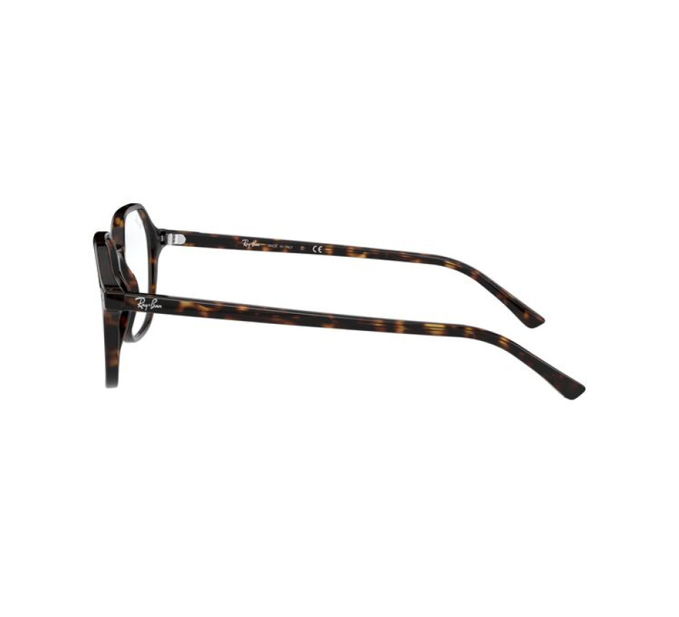 Brillen RAY-BAN RX5394 2012 51/18