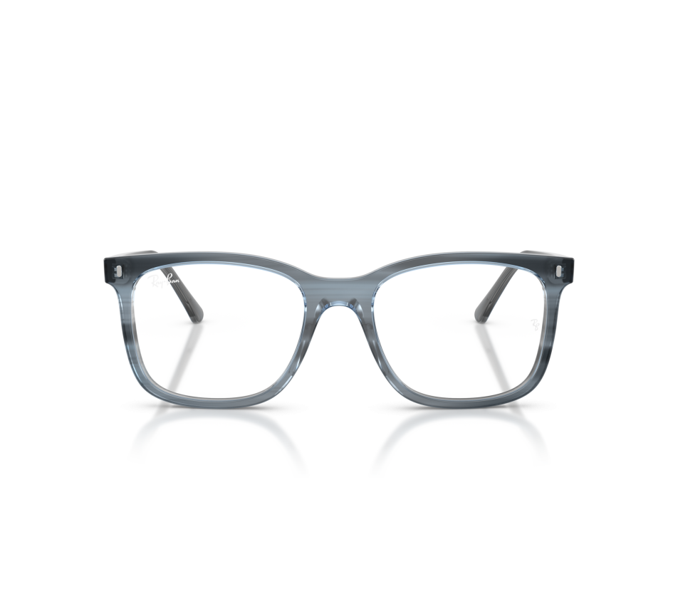 Brillen RAY-BAN RX5446 8456 53/19