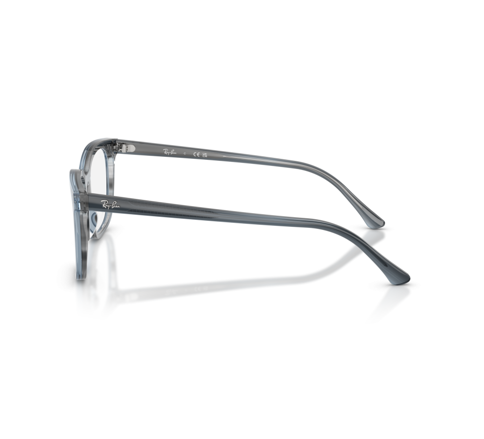 Brillen RAY-BAN RX5446 8456 53/19