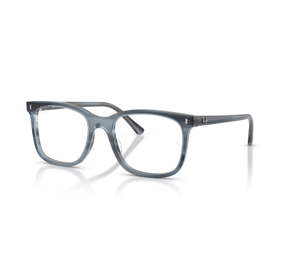 Brillen RAY-BAN RX5446 8456 53/19