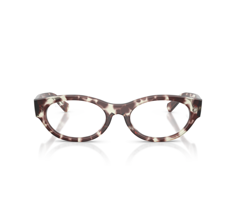 Brillen RAY-BAN RX5447 8458 51/19