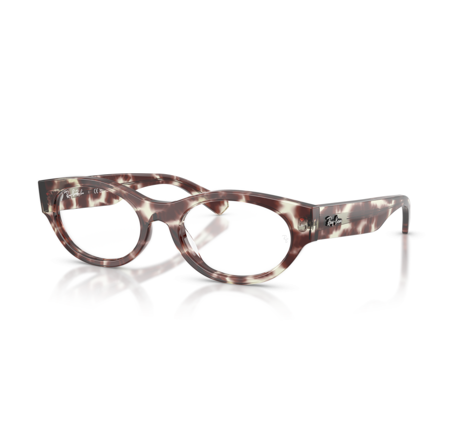 Brillen RAY-BAN RX5447 8458 51/19