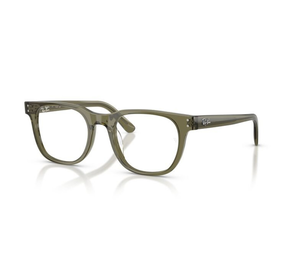 Brillen RAY-BAN RX5461D 8501 51/20