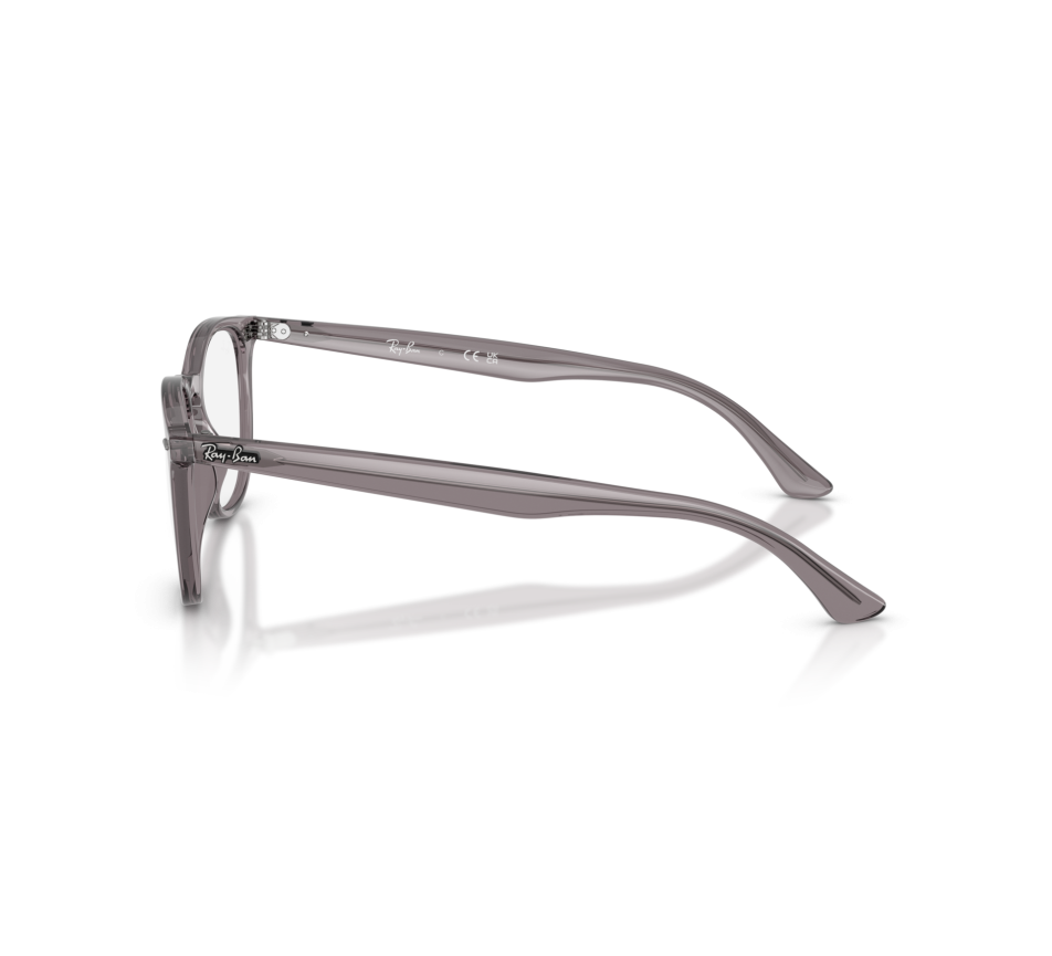 Brillen RAY-BAN RX7159 8257 50/20