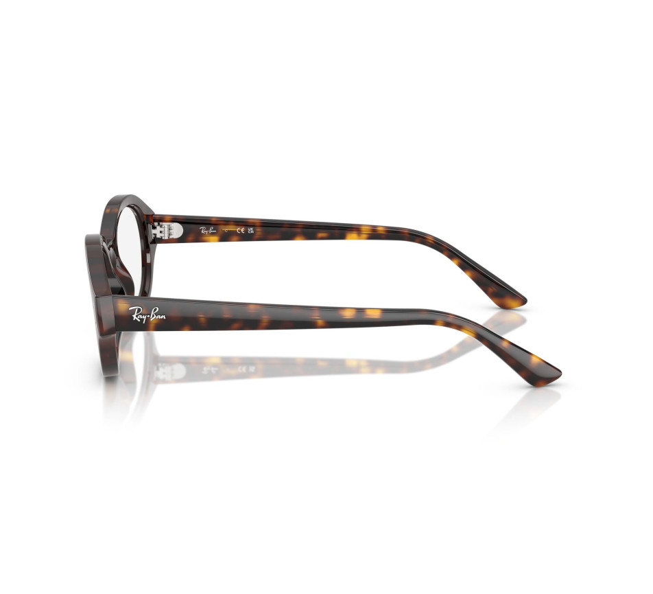 Brillen RAY-BAN RX7257 SHILO 8320 52/20