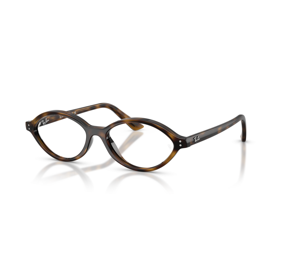 Brillen RAY-BAN RX7265 8320 54/16
