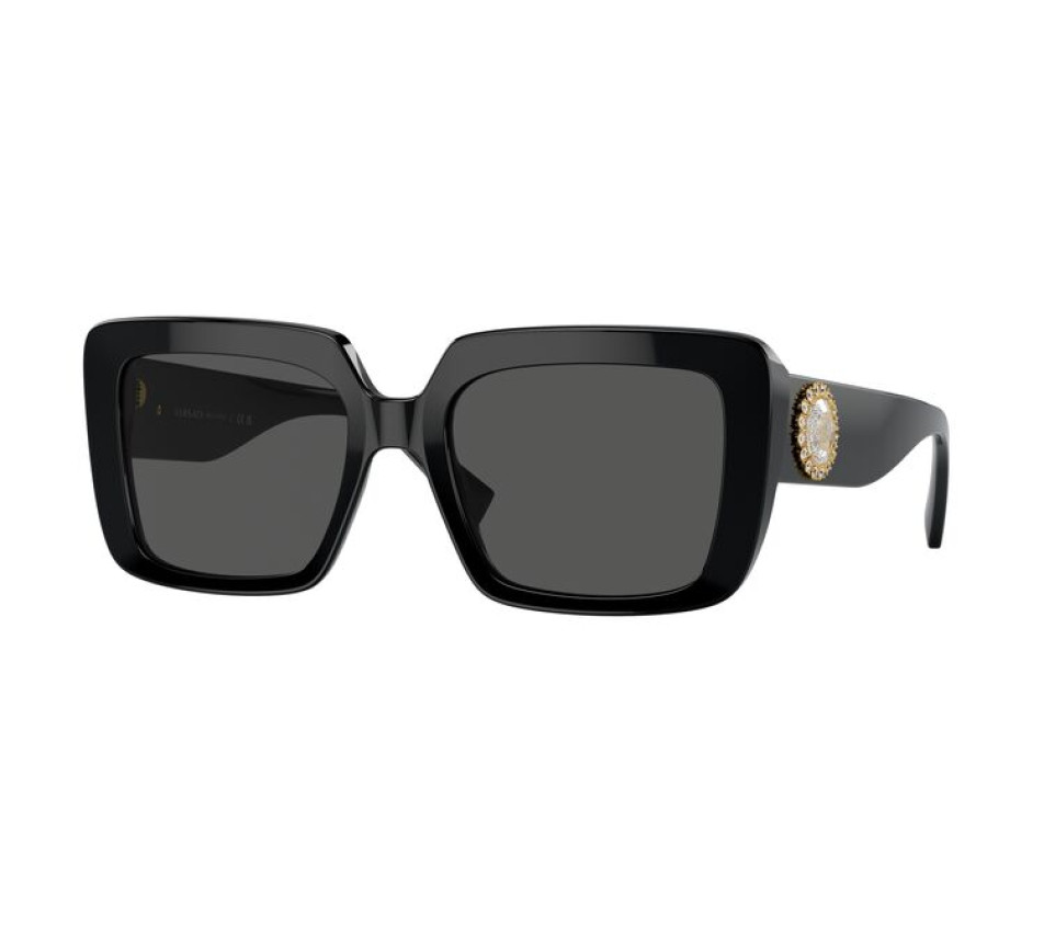 Sonnenbrillen VERSACE VE4384B GB1/87 54/19