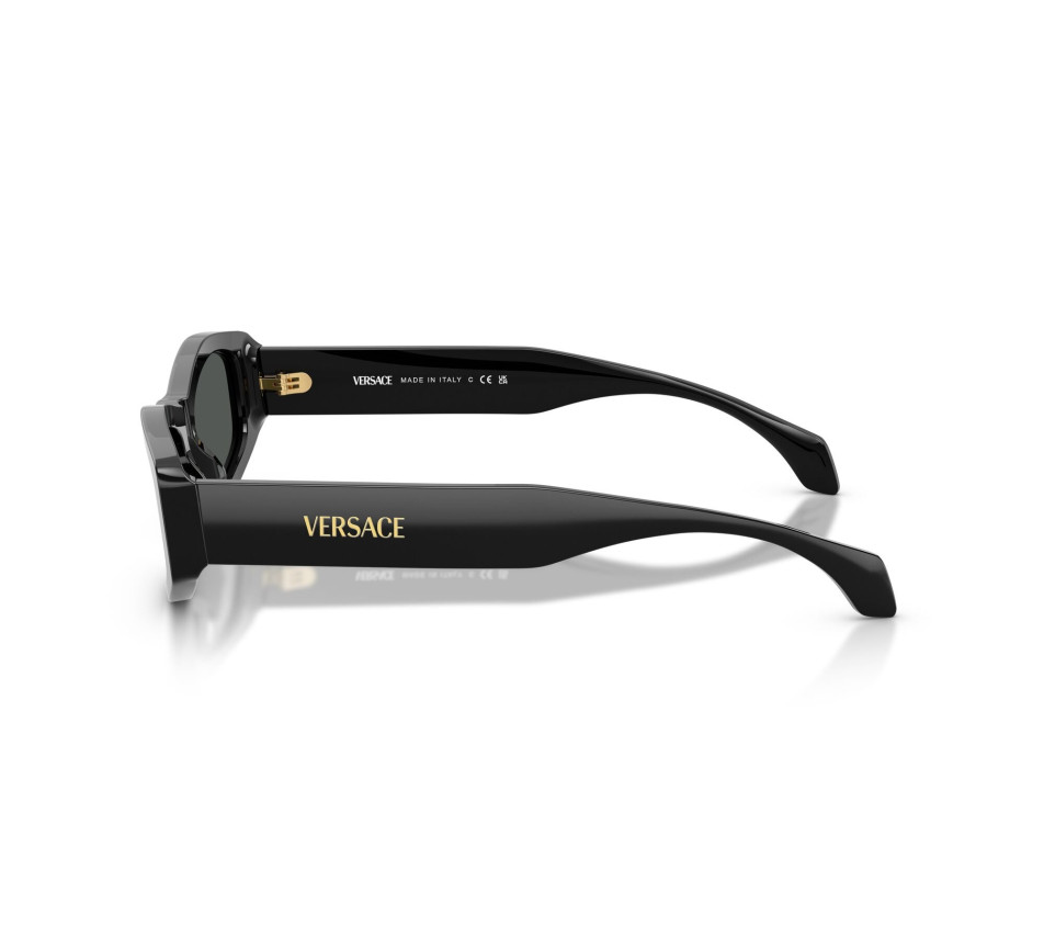 Sonnenbrillen VERSACE VE4487 GB1/87 54/19