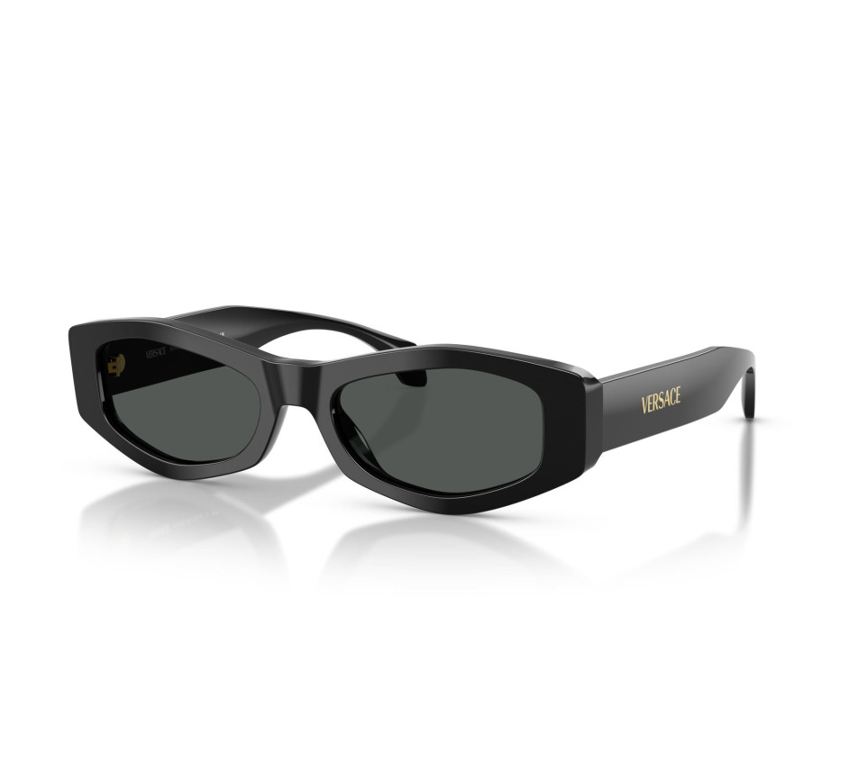 Sonnenbrillen VERSACE VE4487 GB1/87 54/19
