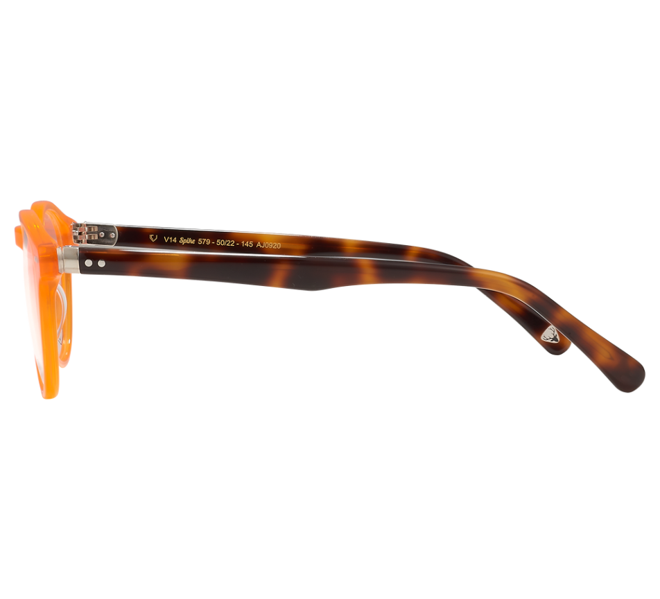 Brillen VAL & CO v14 spike 50/22