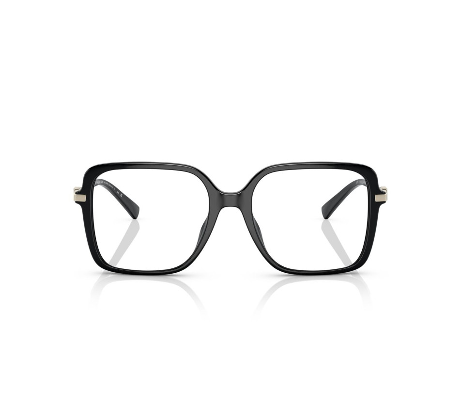 Brillen MICKAEL KORS Dolonne-MK4095U 3005 53/17