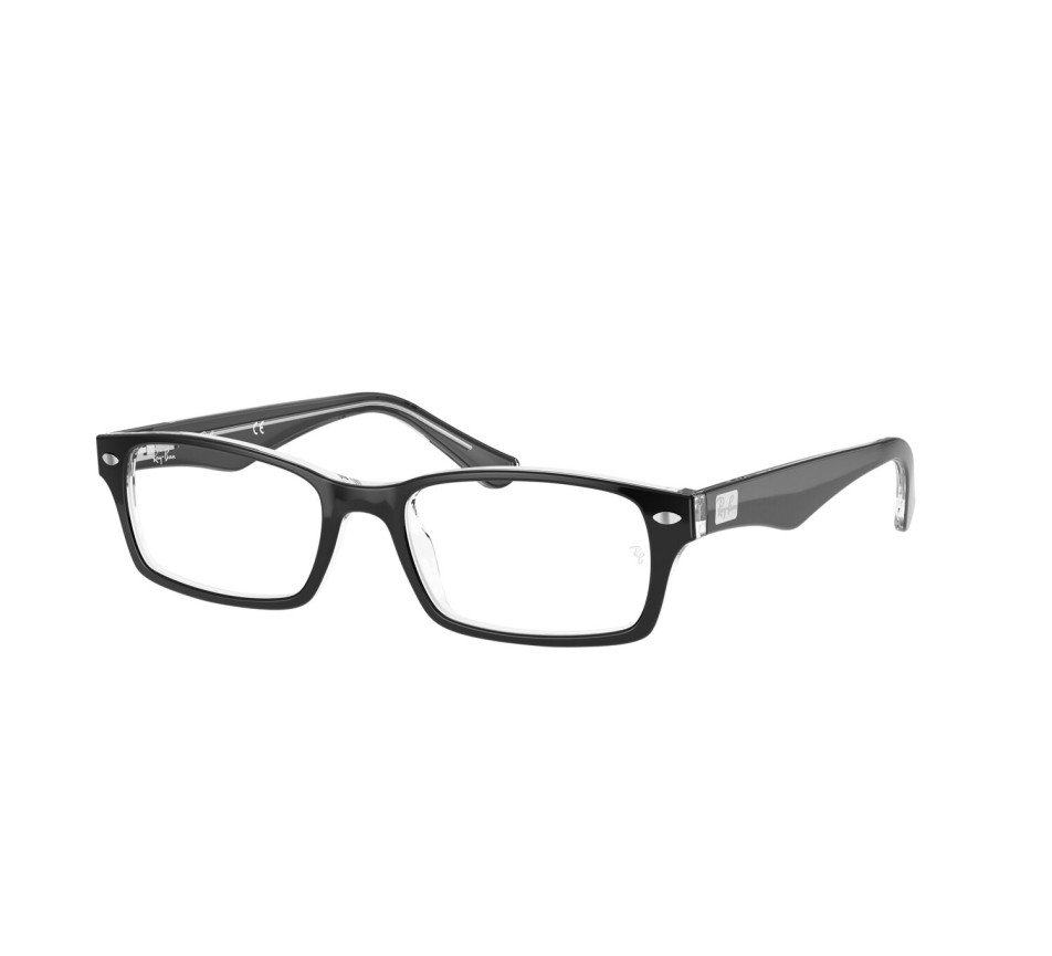 Brillen RAY-BAN RX5206 2034 52/18