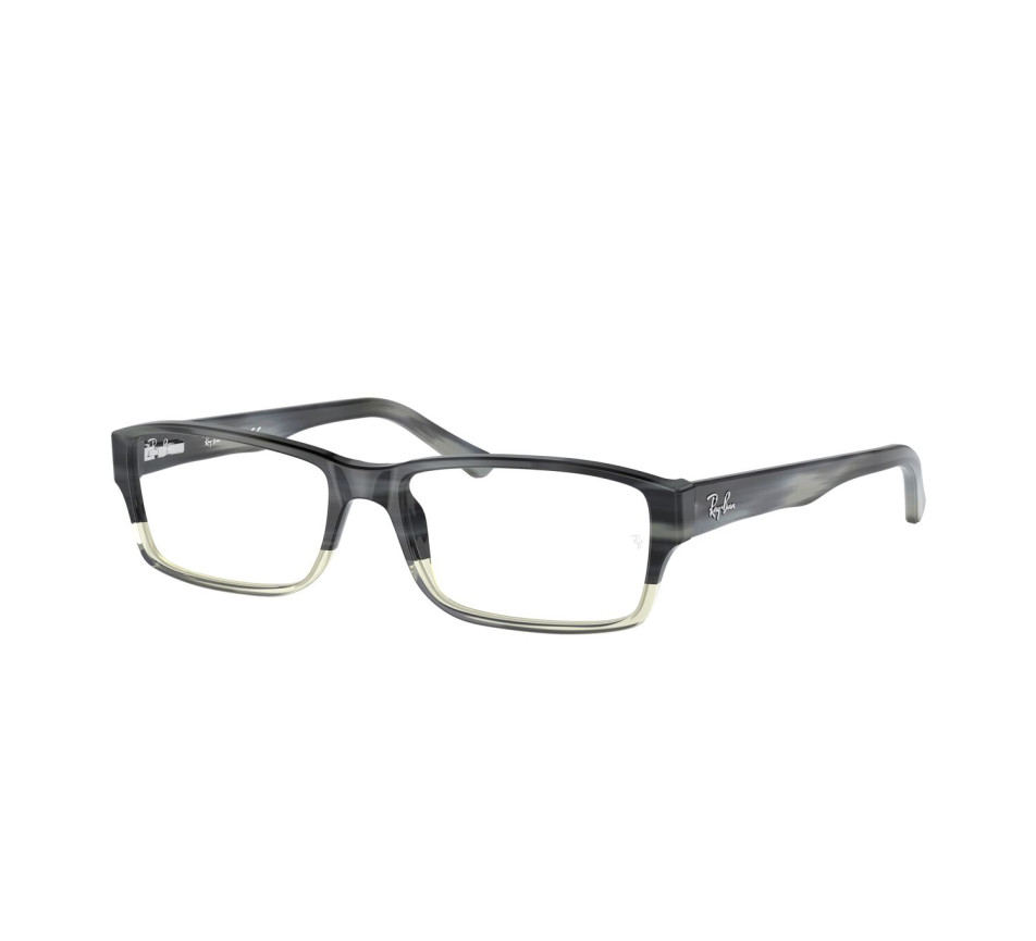 Brillen RAY-BAN RX5169 5540 52/16