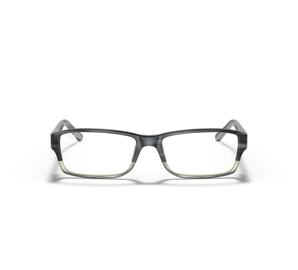 Brillen RAY-BAN RX5169 5540 52/16