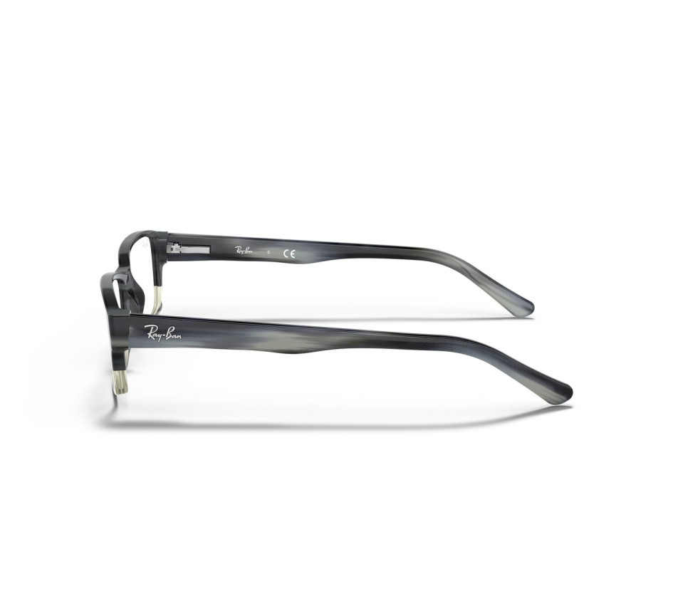 Brillen RAY-BAN RX5169 5540 52/16