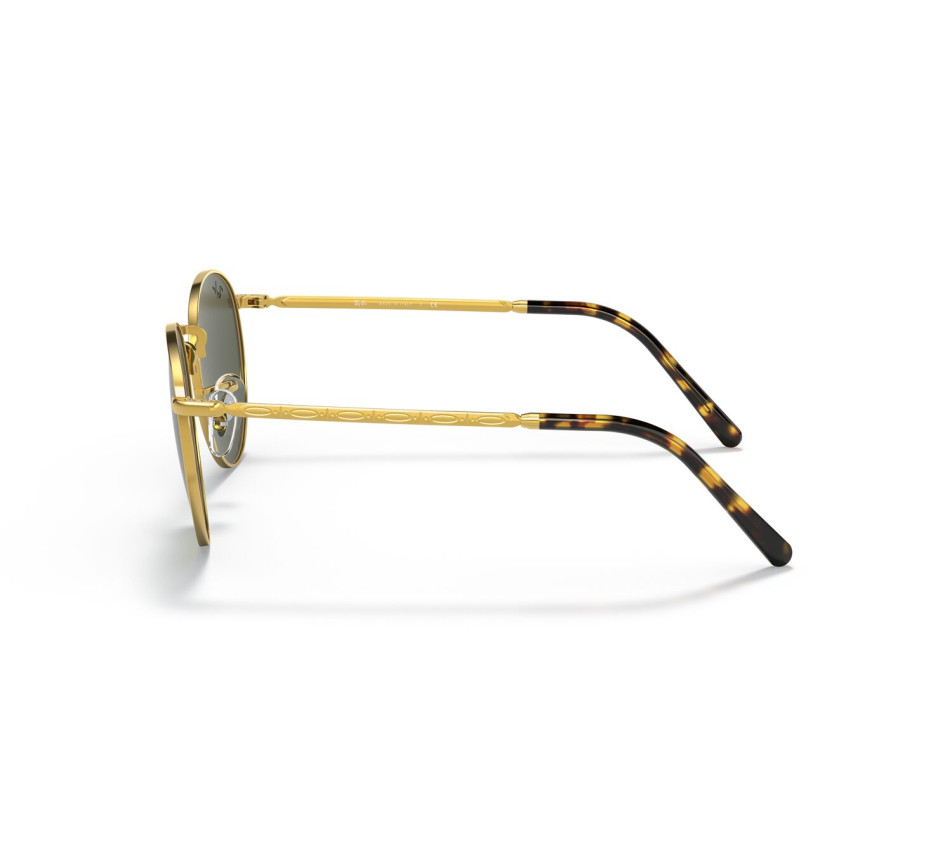 Sonnenbrillen RAY-BAN RB3637 919631 50/21