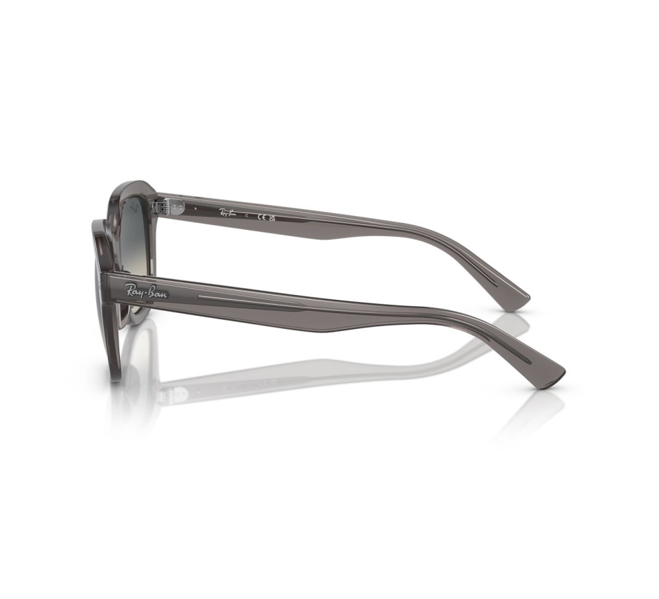 Sonnenbrillen RAY-BAN RB4398 667571 51/20