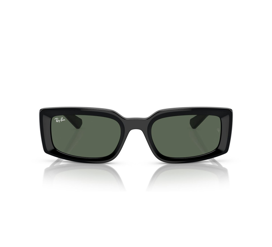 Sonnenbrillen RAY-BAN RB4395 667771 54/21