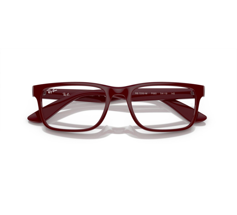 Brillen RAY-BAN RX7232M F685 54/19