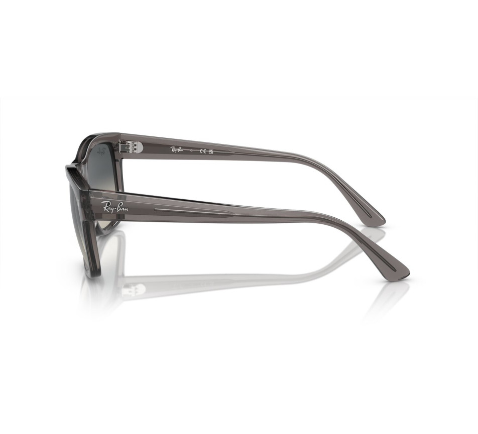 Sonnenbrillen RAY-BAN RB4428 667571 56/21