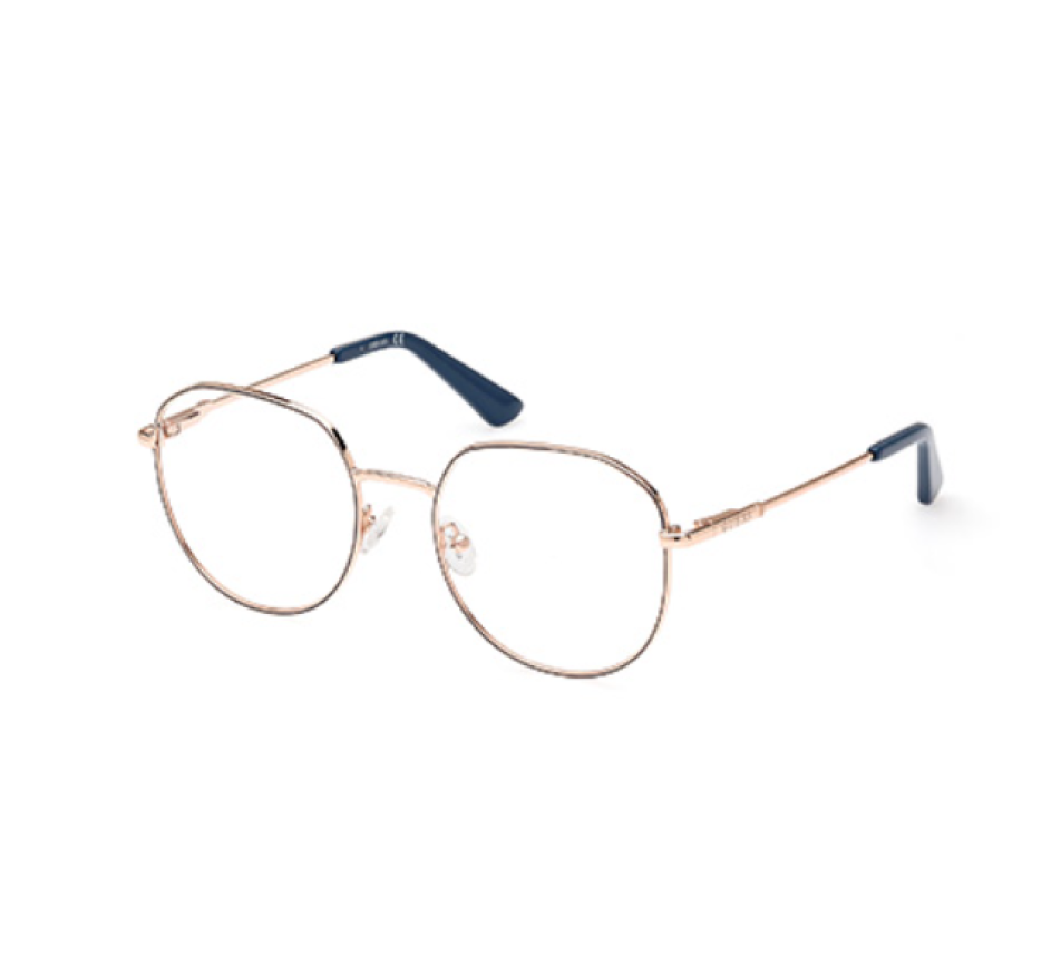 Brillen GUESS GU2933 092 53/19