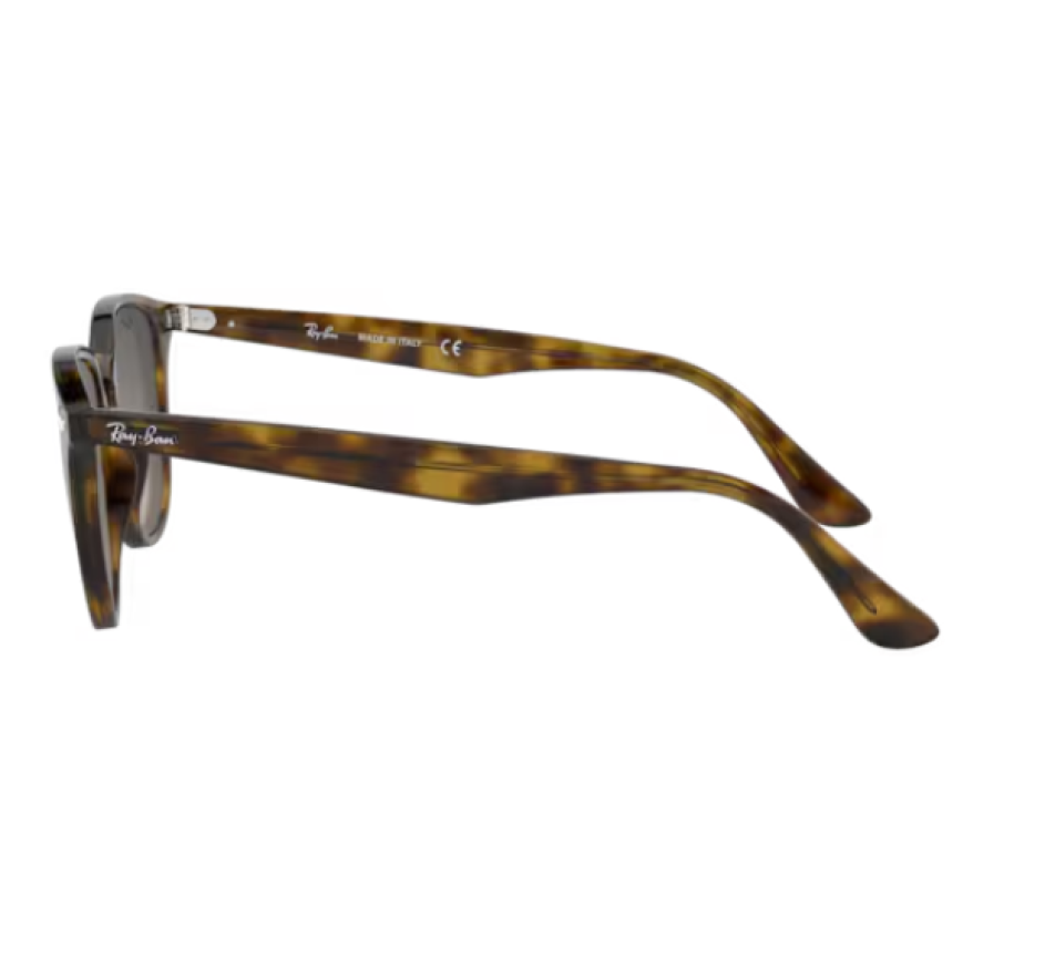 Sonnenbrillen RAY-BAN RB4259 710/11 51/20