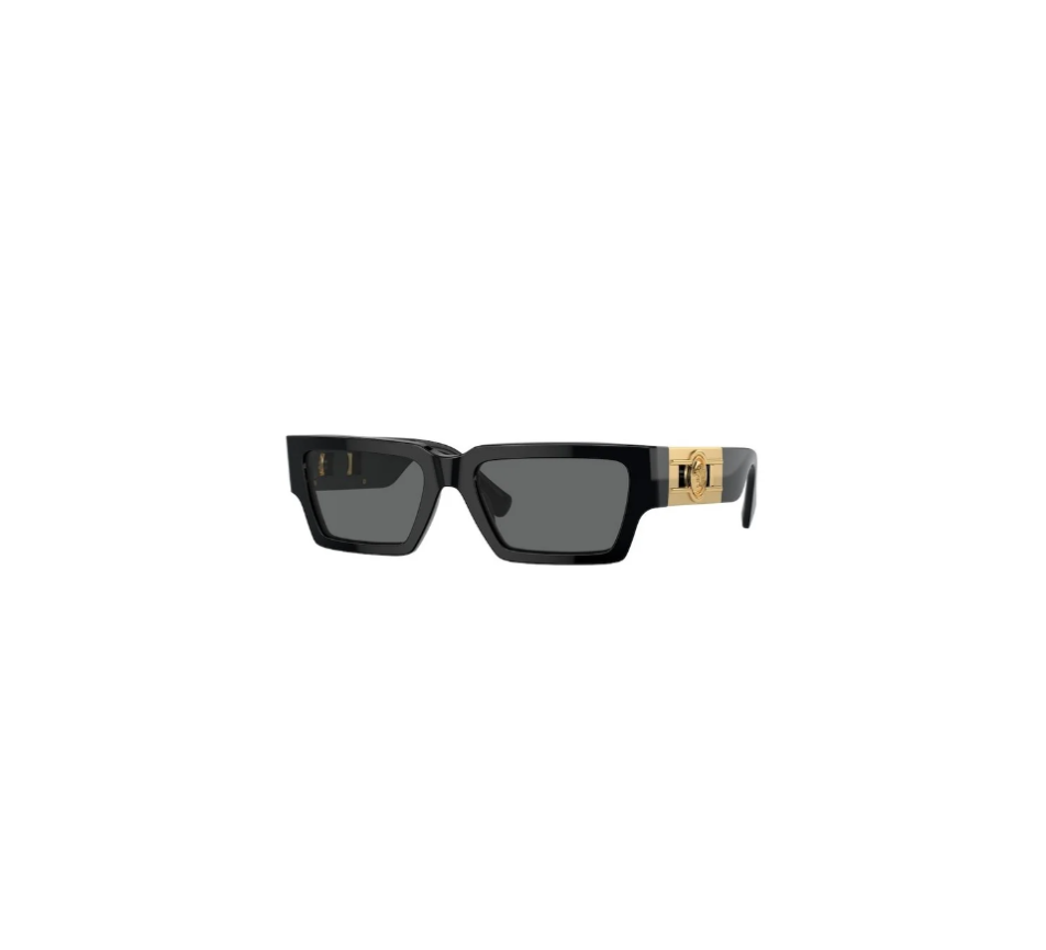Sonnenbrillen VERSACE VE4459 GB1/87 54/18