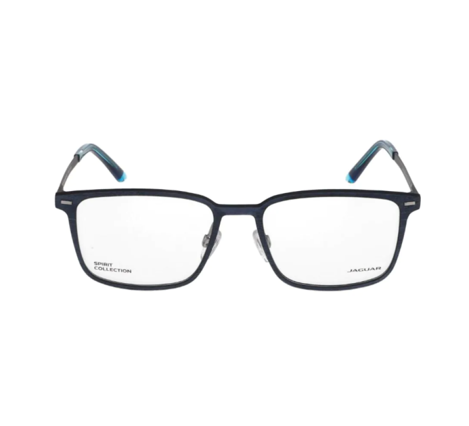 Brillen JAGUAR 33653 31 54/18