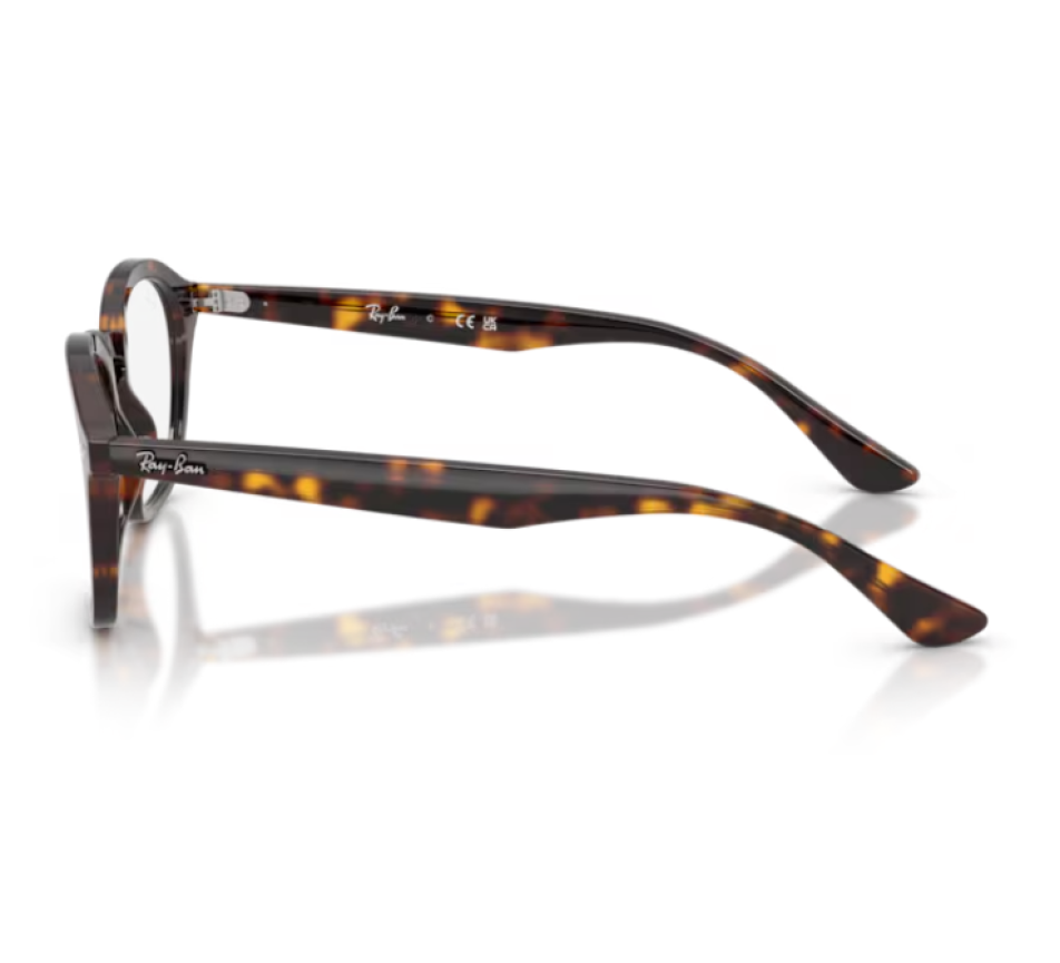Brillen RAY-BAN RX8423 - 2500 56/18