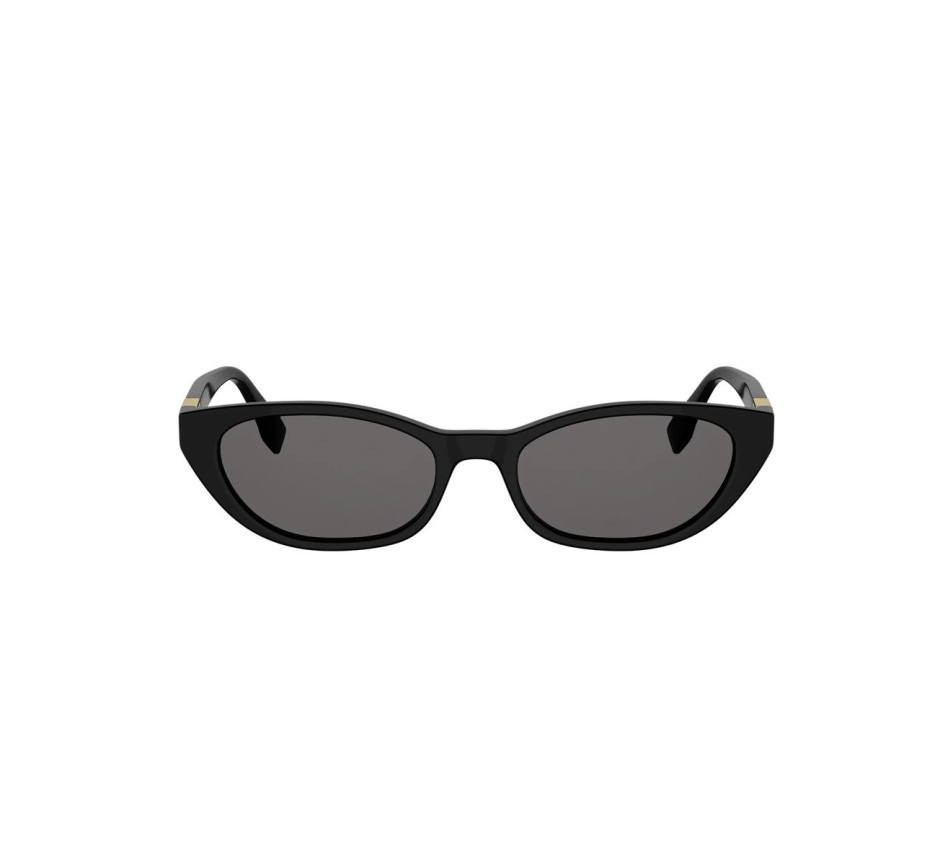 Sonnenbrillen FENDI BAGUETTE FE40224I 01A 54/18