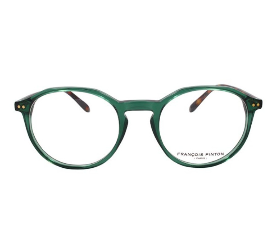 Brillen FRANCOIS PINTON FPTRAVELLER2 Gz-M 49/19