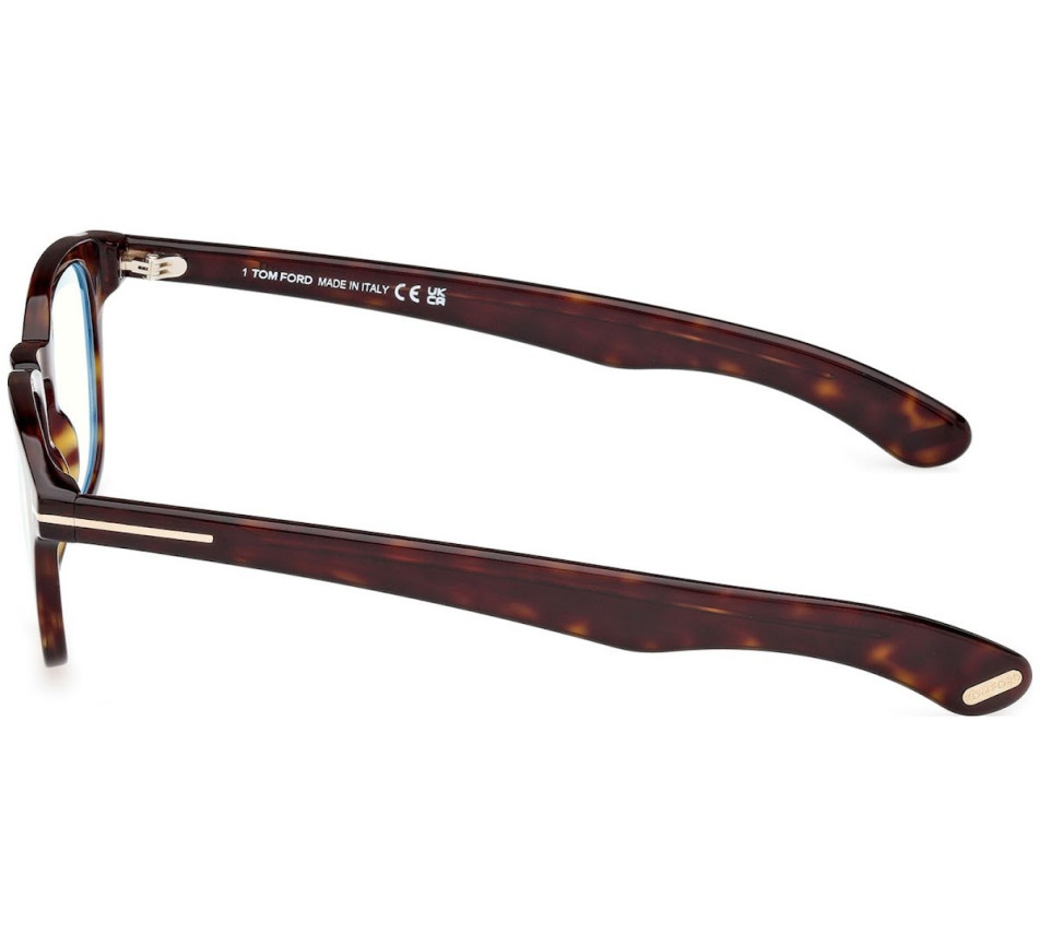 Brillen TOM FORD FT5976-B 052 47/20