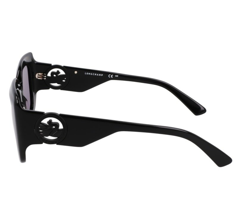 Sonnenbrillen LONGCHAMP LO753S 001 51/20